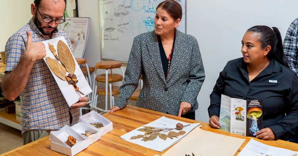 SEDEMA e INECOL blindan áreas naturales protegidas de Veracruz mediante estrategia integral de conservación
