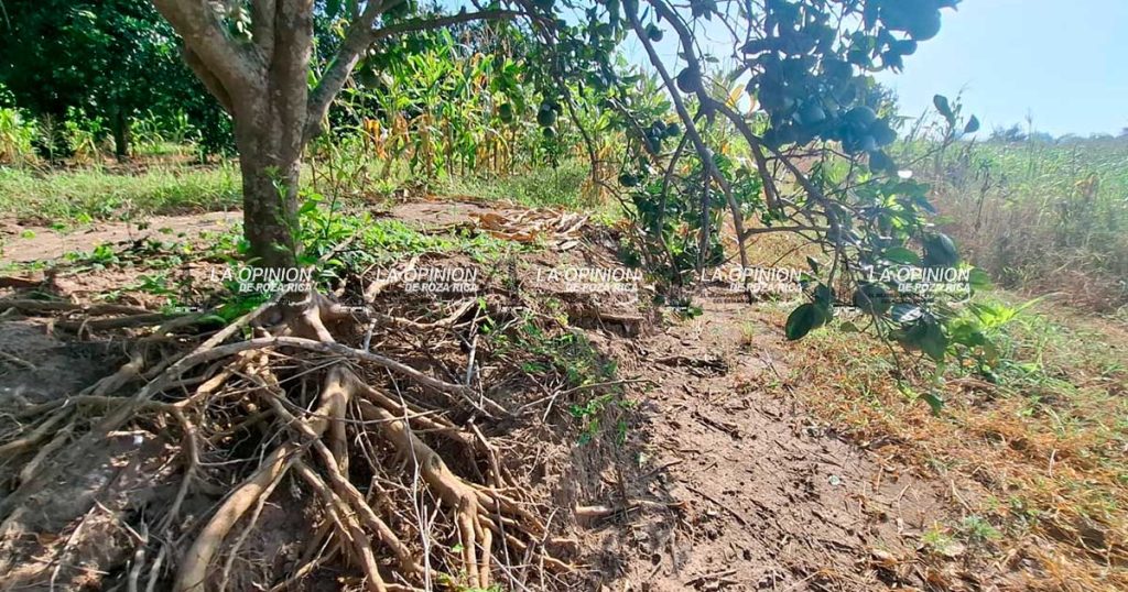 Parcelas en riesgo por severa erosión tras las inundaciones