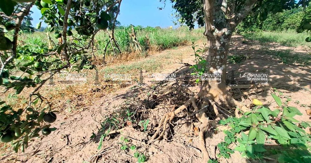 Parcelas en riesgo por severa erosión tras las inundaciones