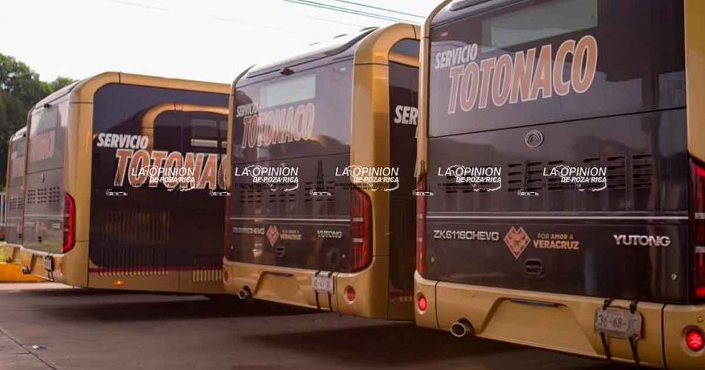 Nuevos autobuses Totonacos comenzarán a prestar servicio en Poza Rica y la región