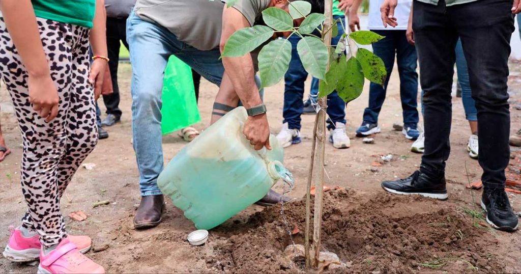 Partido Verde combate efectos del cambio climático en Veracruz; Edgar Herrera Lendechy impulsa jornadas de reforestación