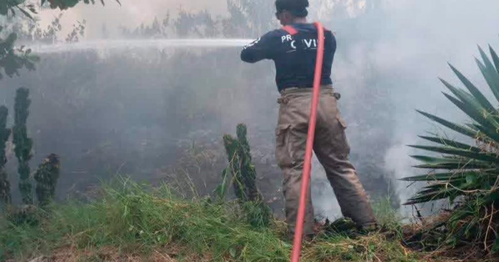 Atienden incendio de inmediato Atienden incendio de inmediato