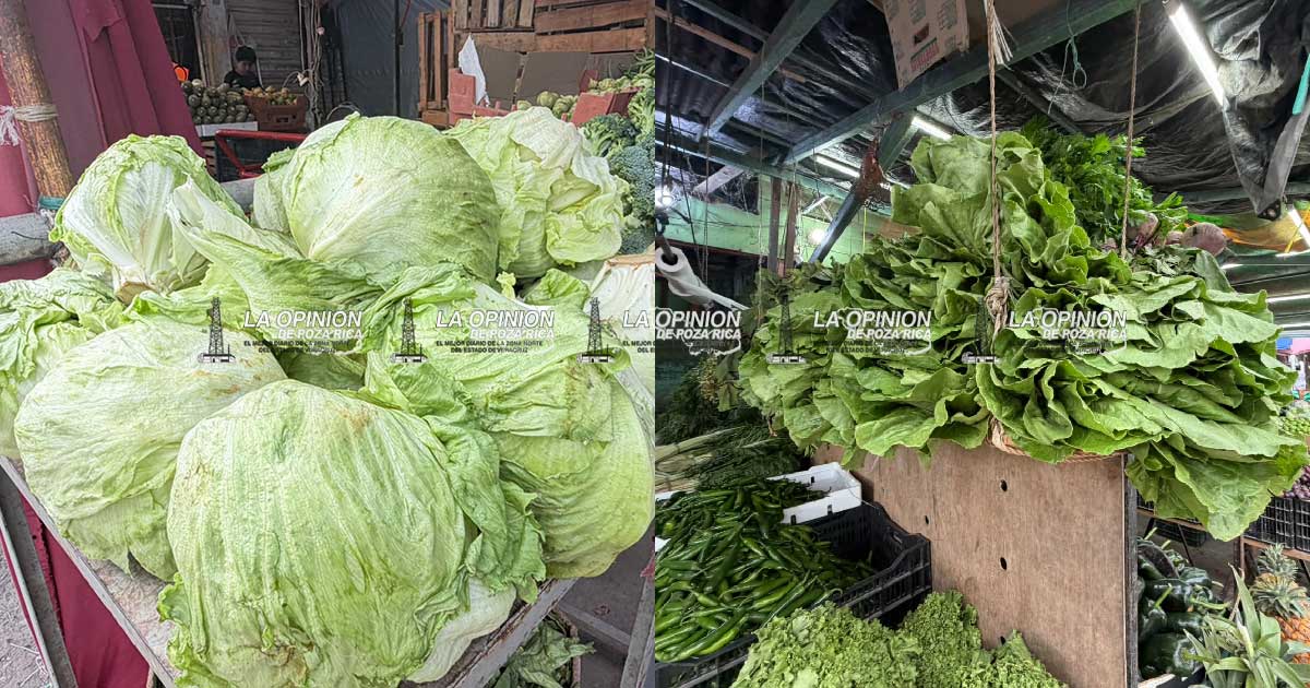 Se desploman hasta 70% las ventas de lechuga y verduras Se desploman hasta 70% las ventas de lechuga y verduras