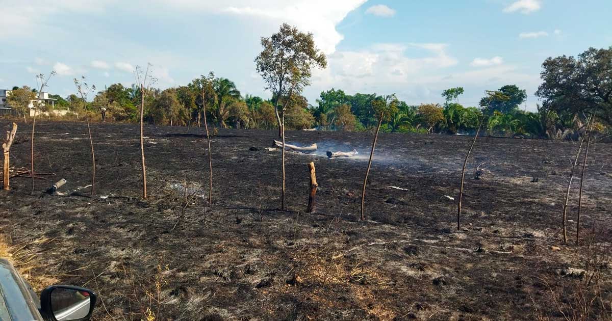 Voraz incendio consume alrededor de 300 hectáreas en Gutiérrez Zamora Voraz incendio consume alrededor de 300 hectáreas en Gutiérrez Zamora