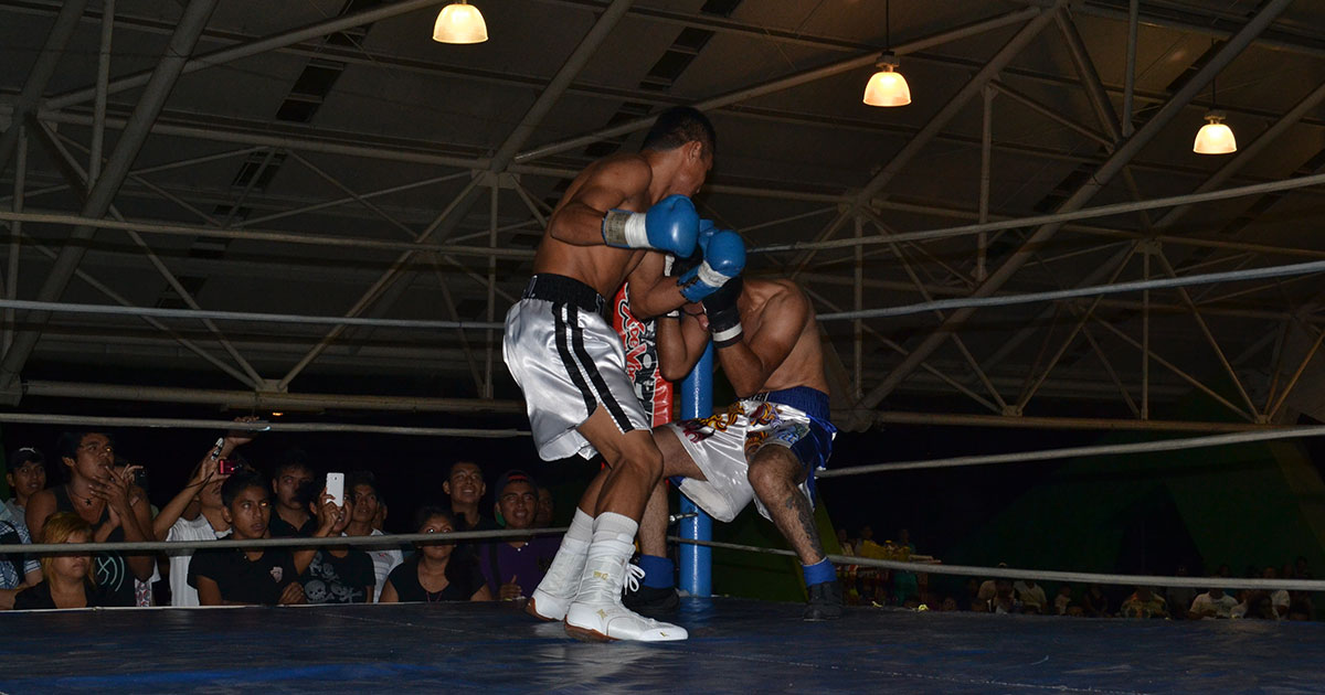 Preparan función de box profesional Preparan función de box profesional