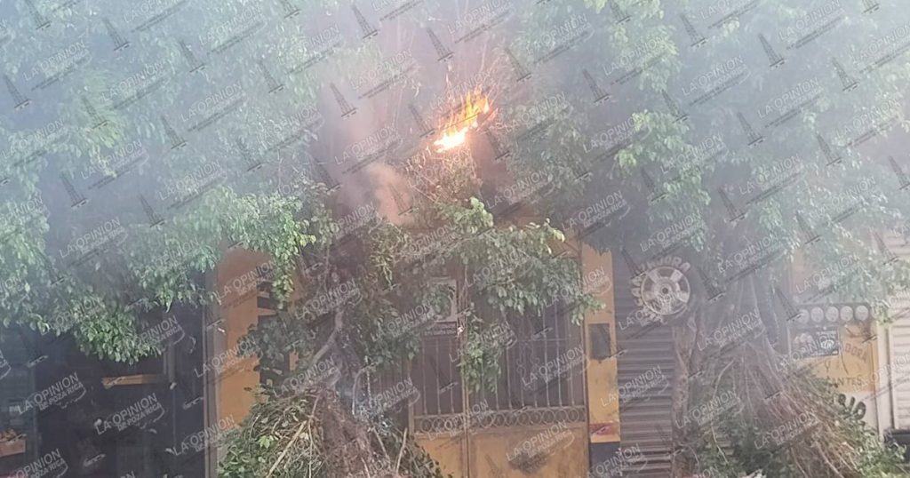 Incendio provocado por líneas de CFE deja sin luz a decenas de familias