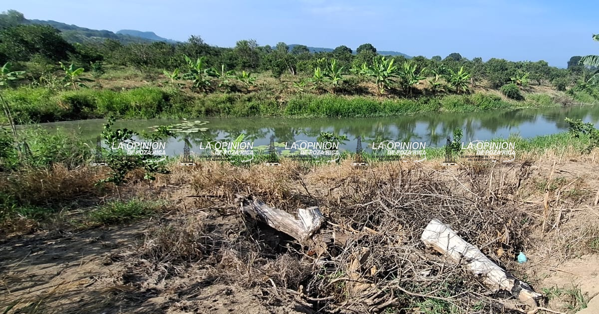 Sanciones y medidas de protección ambiental