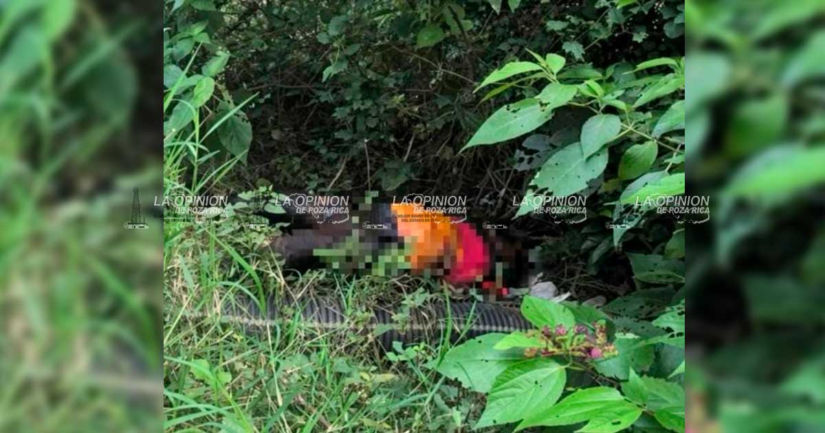 La buscaban desde el 6 de agosto; la encontraron sin vida en un terreno de Nogales