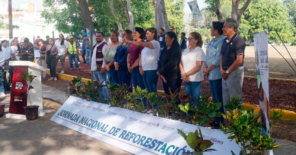Reforestan áreas verdes durante jornada nacional Reforestan áreas verdes durante jornada nacional