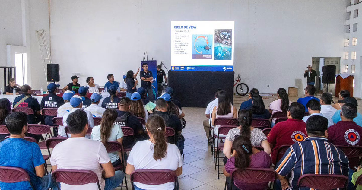 Tras llamado de ambientalistas, autoridades refuerzan protección del cangrejo azul en San Rafael Tras llamado de ambientalistas, autoridades refuerzan protección del cangrejo azul en San Rafael