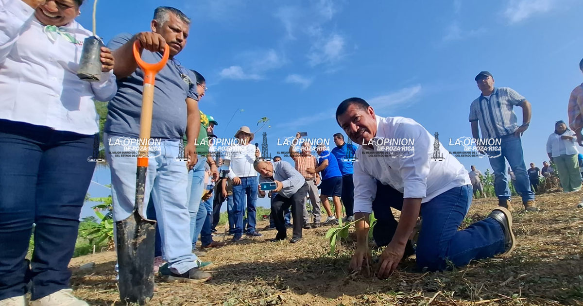 Álamo se suma a Jornada Nacional de Reforestación Álamo se suma a Jornada Nacional de Reforestación