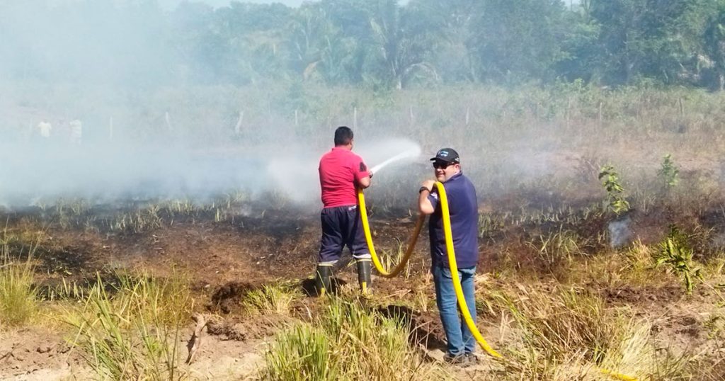 Voraz incendio consume alrededor de 300 hectáreas en Gutiérrez Zamora Voraz incendio consume alrededor de 300 hectáreas en Gutiérrez Zamora