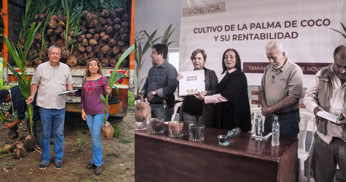 Carmen Belém Lihaut Sequera, una historia que llenó de orgullo a Veracruz