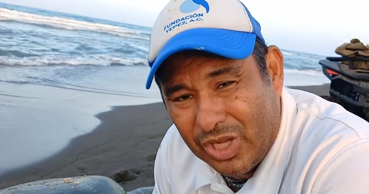 Llama Fundación Yépez a no interferir en la anidación de tortugas Llama Fundación Yépez a no interferir en la anidación de tortugas