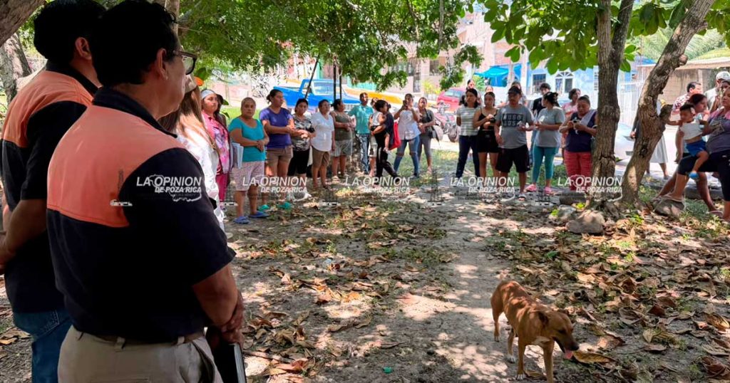 Masacre de animales domésticos alerta a Lomas del Paraíso Masacre de animales domésticos alerta a Lomas del Paraíso