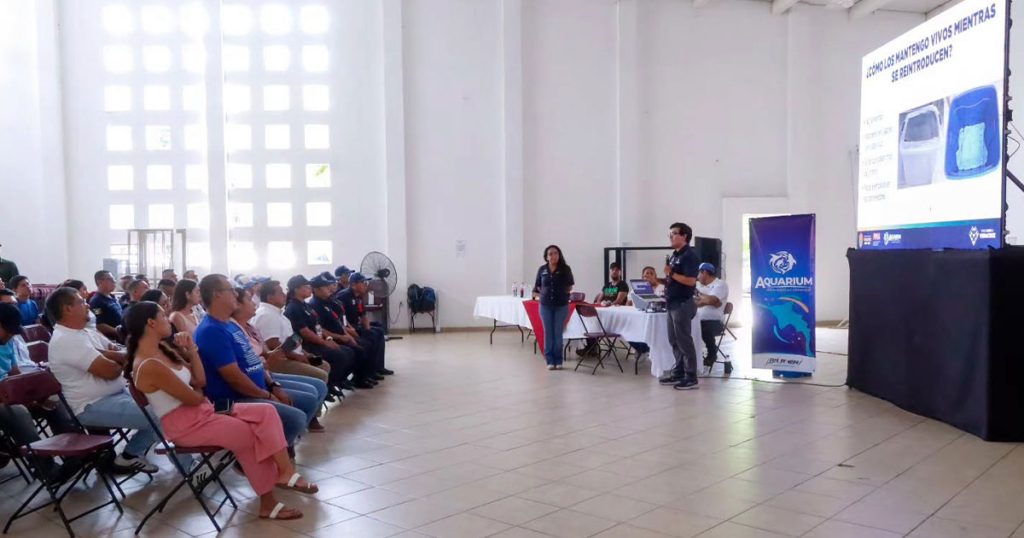 Tras llamado de ambientalistas, autoridades refuerzan protección del cangrejo azul en San Rafael Tras llamado de ambientalistas, autoridades refuerzan protección del cangrejo azul en San Rafael