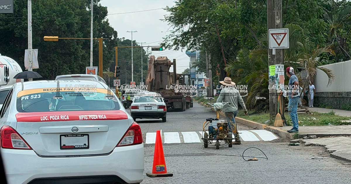 Refuerzan señalización vial frente a la Universidad Veracruzana
