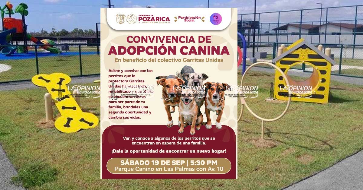 Realizarán una Convivencia de Adopción Canina