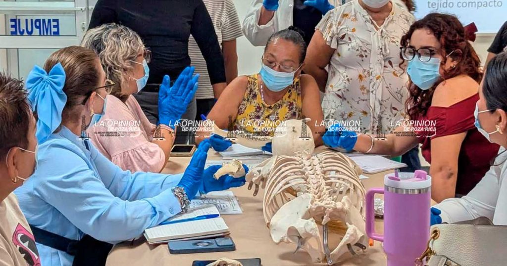 Colectivo María Herrera toma curso de análisis de fragmentos óseos en contextos forenses