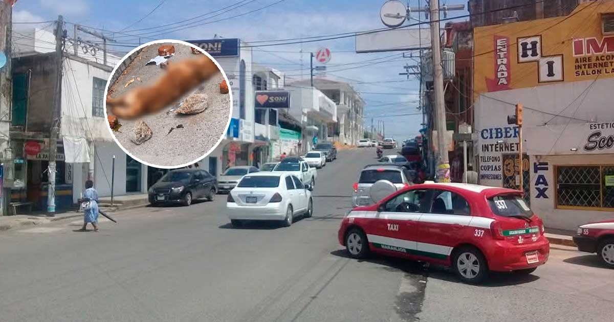 Denuncian muerte de perro en Naranjos