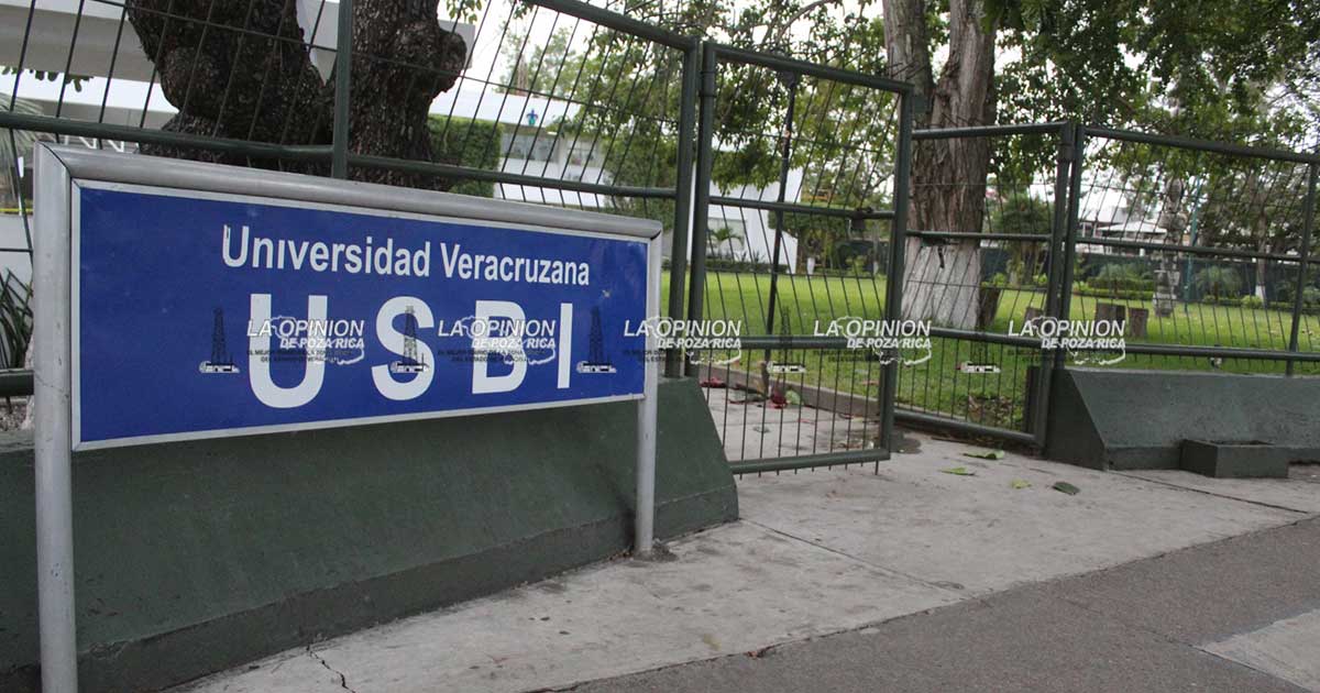 Bienestar y salud para los académicos de la UV