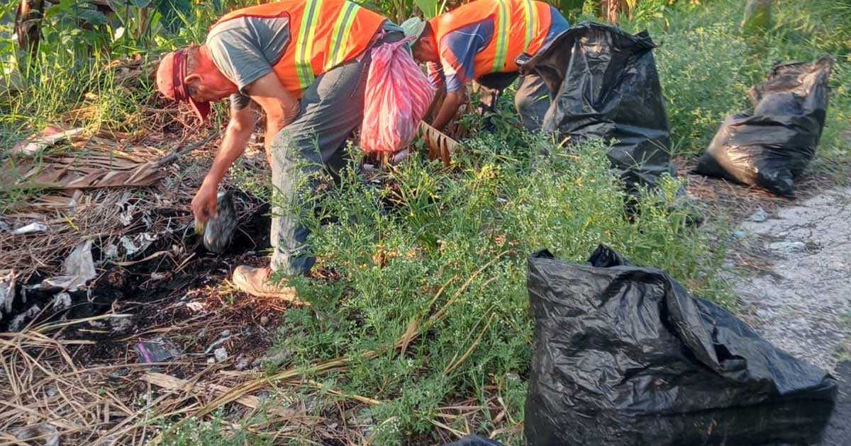 Mejoran accesos de Tlapacoyan con trabajos de limpieza Mejoran accesos de Tlapacoyan con trabajos de limpieza