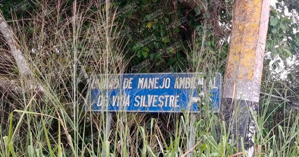 ¡Les cae la ley al zoológico de Tihuatlán! ¡Les cae la ley al zoológico de Tihuatlán!