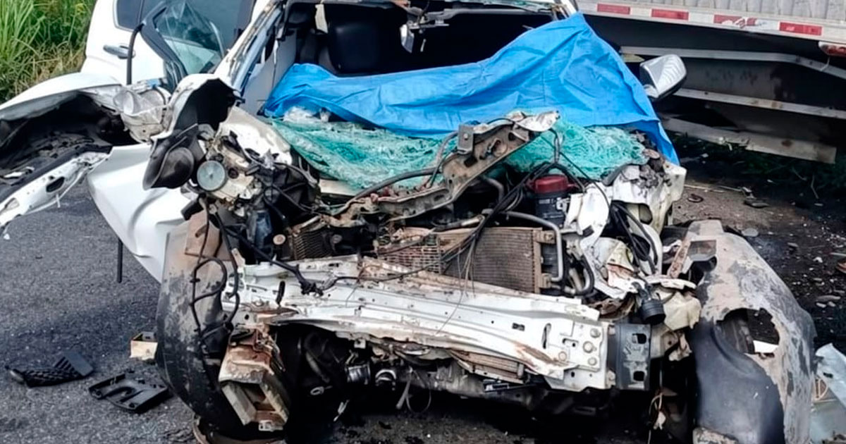 Tragedia en la autopista 145D: mueren cuatro personas, entre ellas un recién nacido