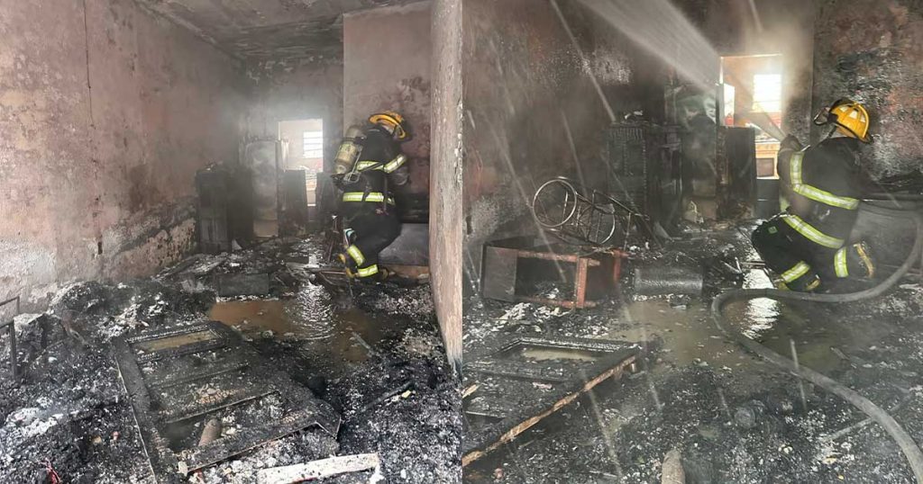 Bomberos rescatan a siete perros durante incendio en Veracruz Bomberos rescatan a siete perros durante incendio en Veracruz