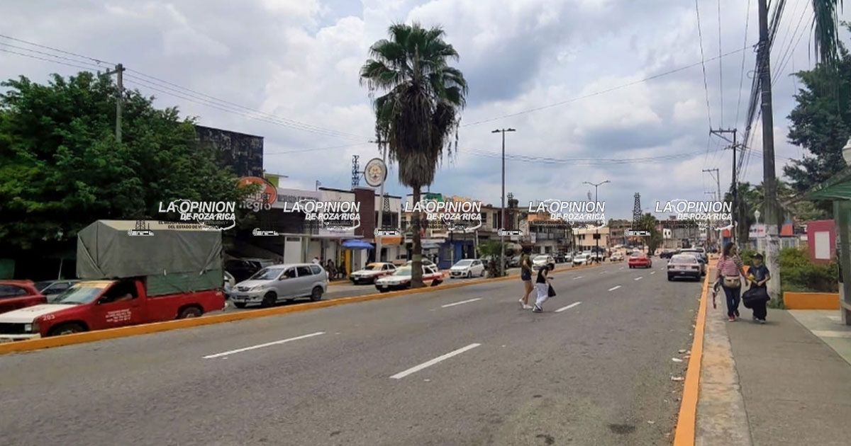 Urgen plantar árboles sobre Central Poniente