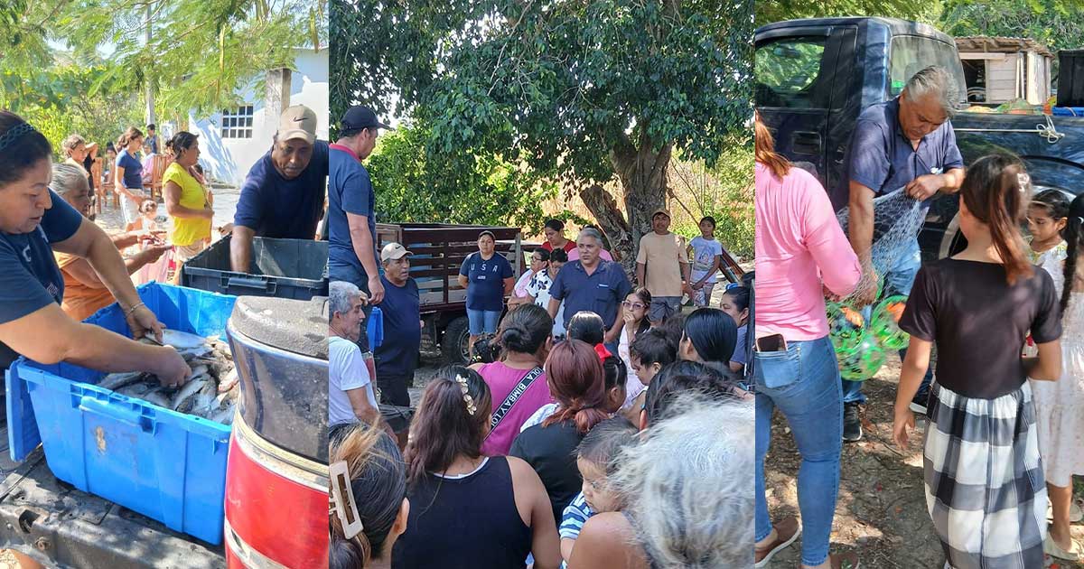 Chemo Ramos comparte los frutos del mar con familias de comunidades de Tecolutla Chemo Ramos comparte los frutos del mar con familias de comunidades de Tecolutla