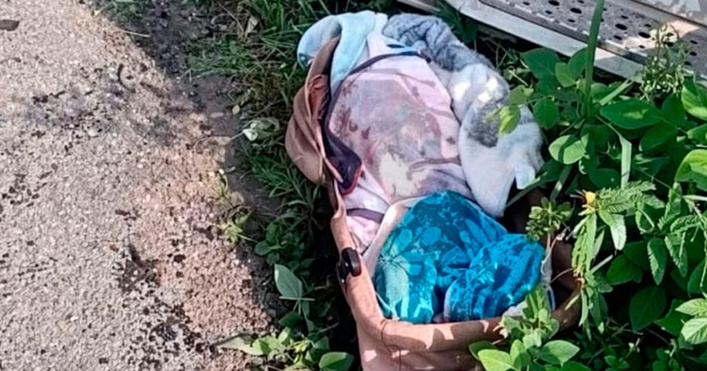 Tragedia en la autopista 145D: mueren cuatro personas, entre ellas un recién nacido Tragedia en la autopista 145D: mueren cuatro personas, entre ellas un recién nacido